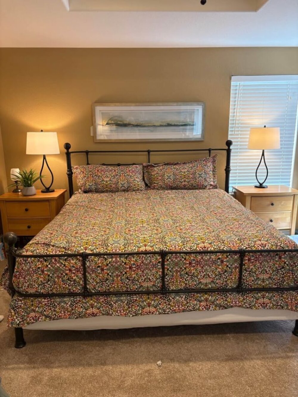 Crate & Barrel Lucia KING Multicolor Duvet Cover and Two King Shams